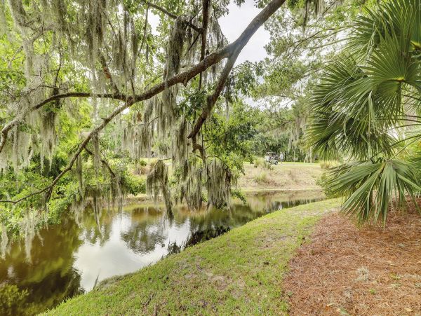 Hilton Head Condo 997689