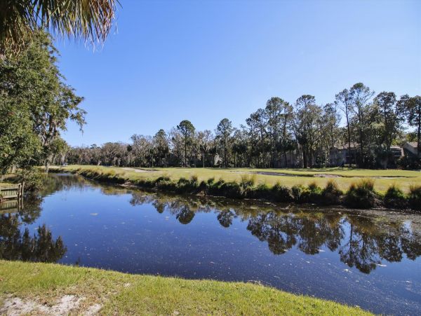 Hilton Head Home 997699