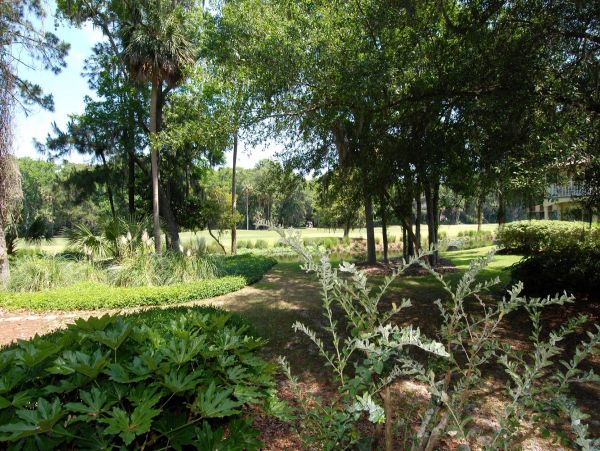 Hilton Head Condo 997701