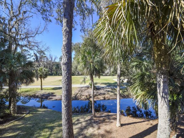 Hilton Head Home 997703
