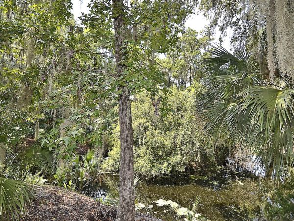 Hilton Head Condo 997718