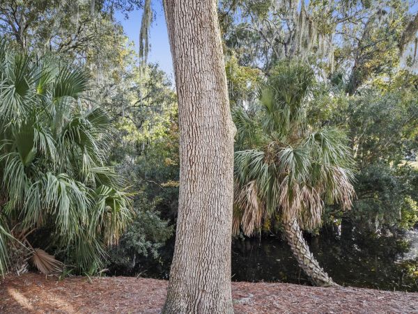 Hilton Head Condo 997721