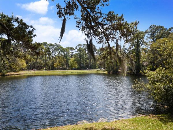 Hilton Head Home 997737