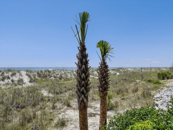 Oceanfront Hilton Head Island Rental with Pool & Beach Access