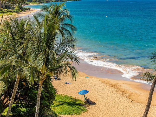 Oceanfront Vacation Beach. Condo in Kihei Sleeps 6 Guests