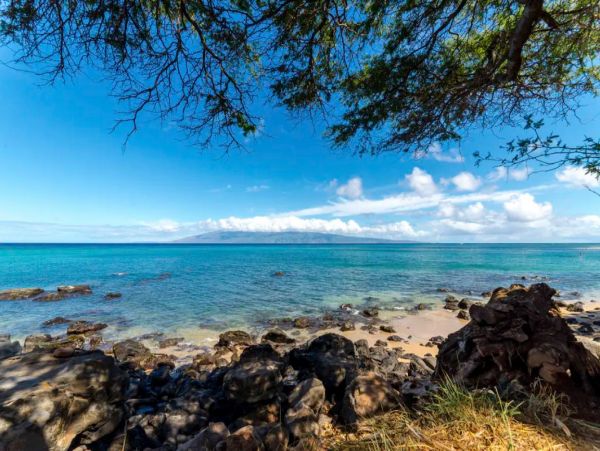 Oceanfront Vacation Beach Condo in Lahaina Sleeps 6 Guests