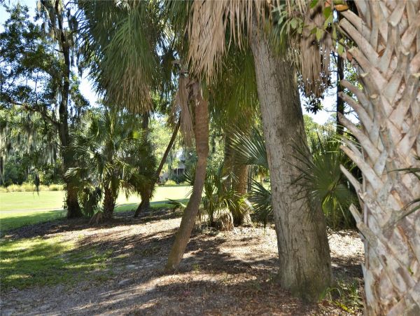 Hilton Head Condo 997791