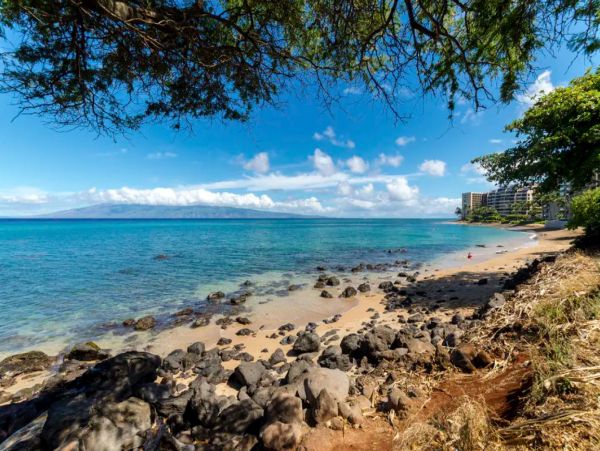 Oceanfront Vacation Beach Condo in Lahaina Sleeps 6 Guests