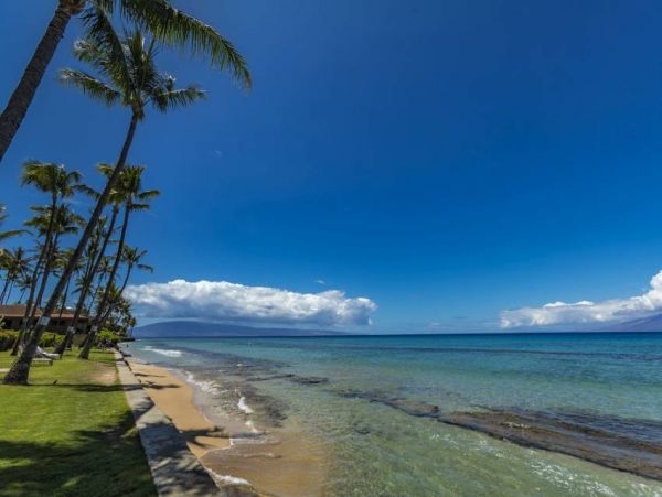 Oceanfront Vacation Beach Condo in Lahaina Sleeps 6 Guests