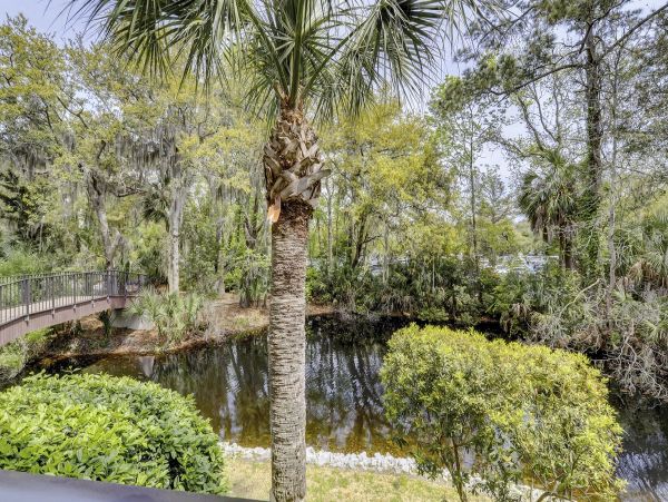 Hilton Head Home 997807