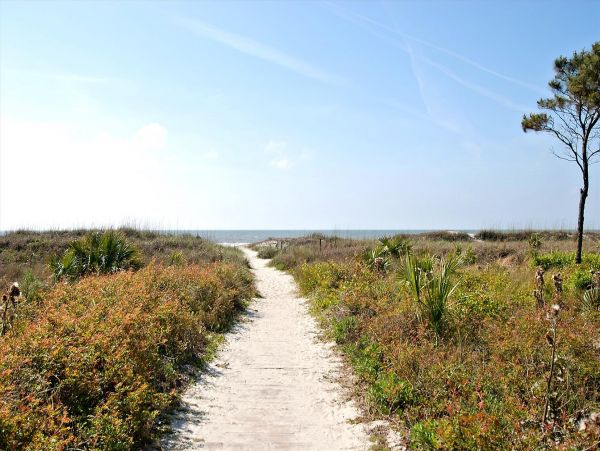 Hilton Head Condo 997808
