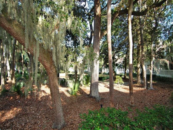 Hilton Head Home 997814