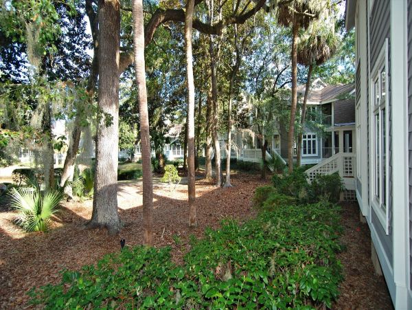 Hilton Head Home 997814