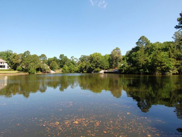 Hilton Head Home 997814