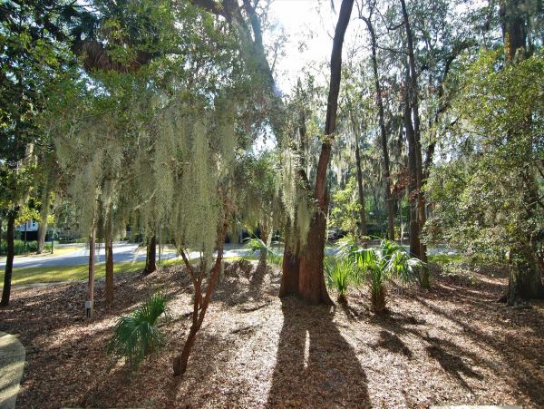 Hilton Head Home 997814