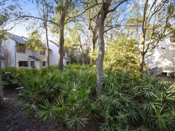 3 Bedroom - 3 Bathroom Dog friendly Townhome in Ocean Breeze, Hilton head 0.4 miles to the beach