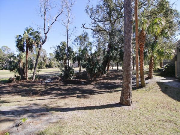 Hilton Head Home 997836