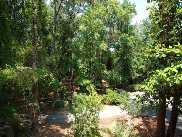 Hilton Head Condo 997842