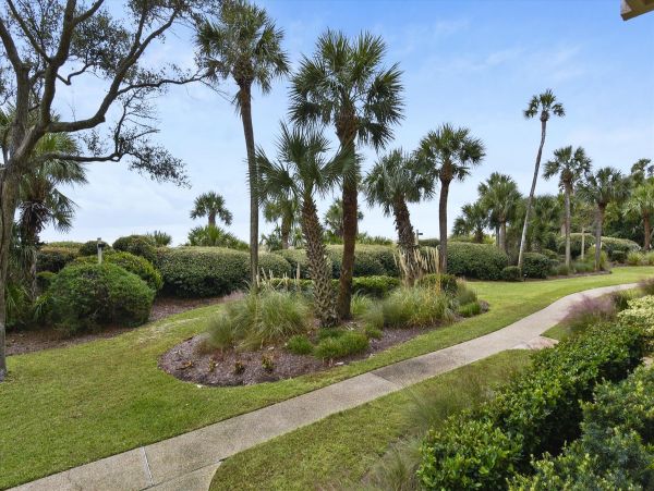 Hilton Head Condo 997843