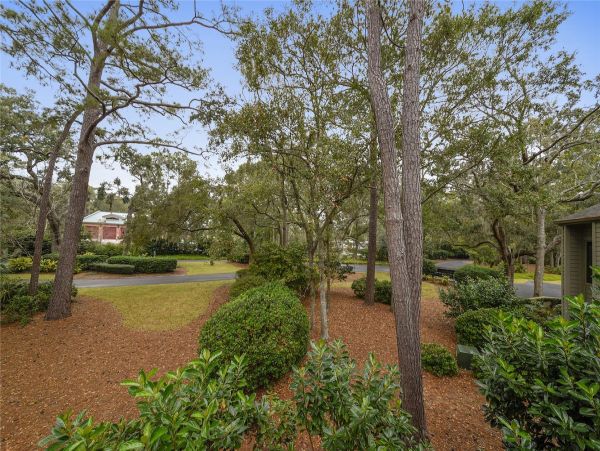 Hilton Head Condo 997845