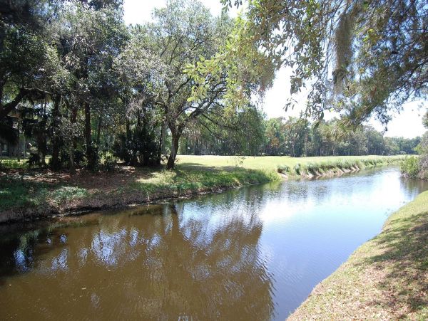 Hilton Head Condo 997849