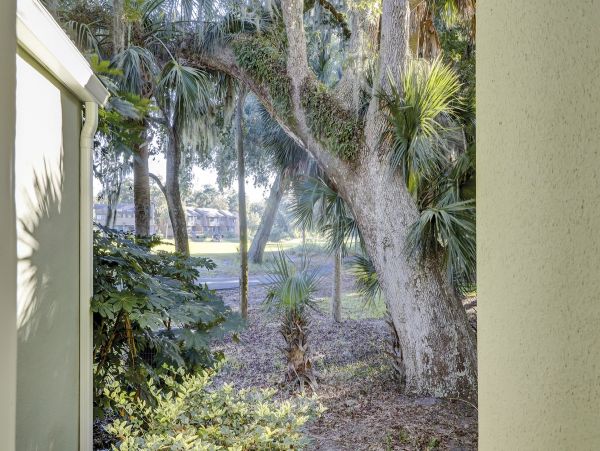 Hilton Head Home 997869