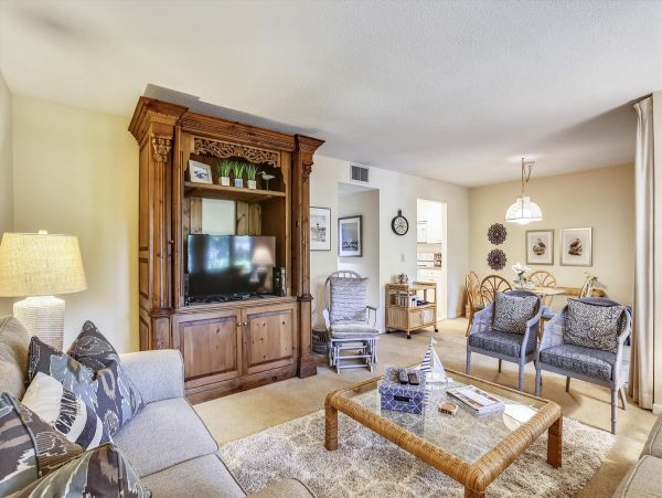 Hilton Head Condo 997875