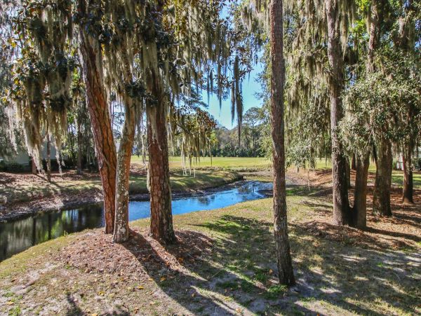 Hilton Head Home 997880