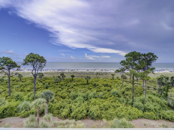 Two Bedroom Oceanview Penthouse