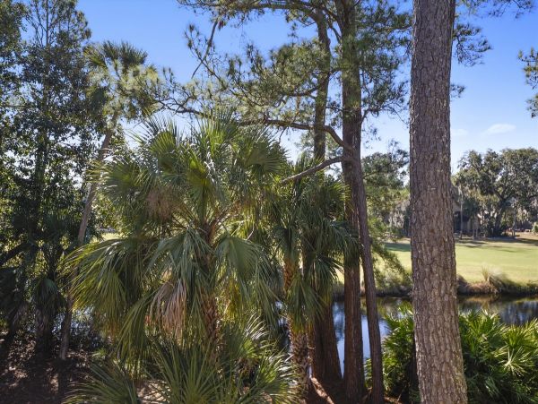 Hilton Head Condo 997894