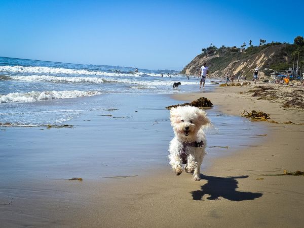 Santa Barbara Lovely Three Bedroom Vacation Residence