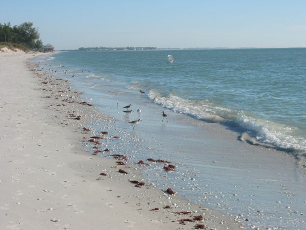 Boca Grande Spacious Vacation Home Across Street From Beach