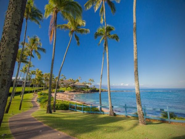 Luxury Vacation Condo in Kapalua 3 Bedrooms Sleeps Eight