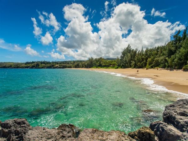 Luxury Vacation Condo in Kapalua 3 Bedrooms Sleeps Eight
