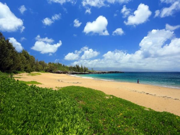 Luxury Vacation Condo in Kapalua 3 Bedrooms Sleeps Eight