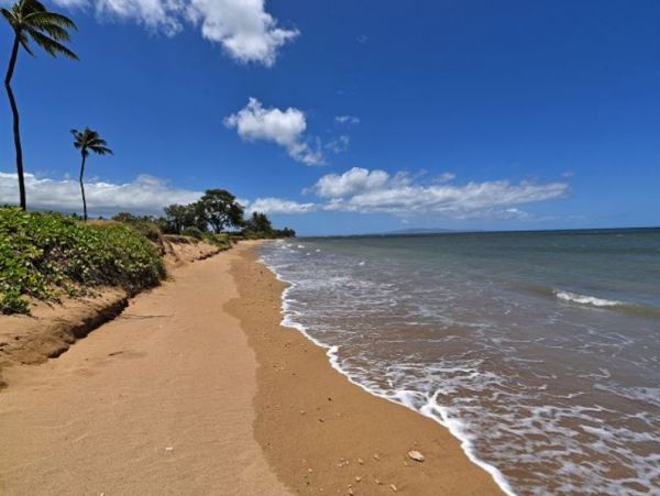 Gorgeous Vacation Condo in Kihei 6 Guests