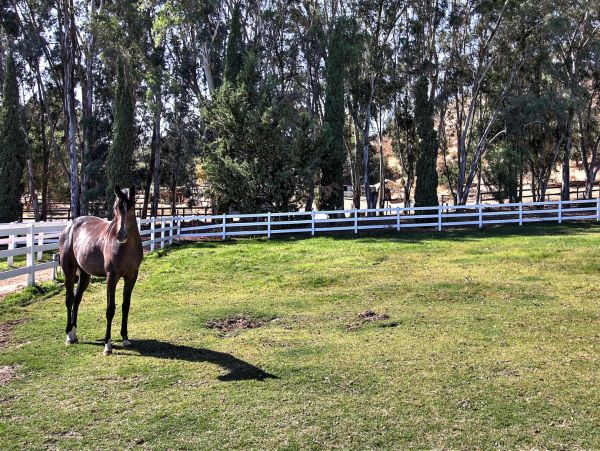 Santa Barbara County Home 997971