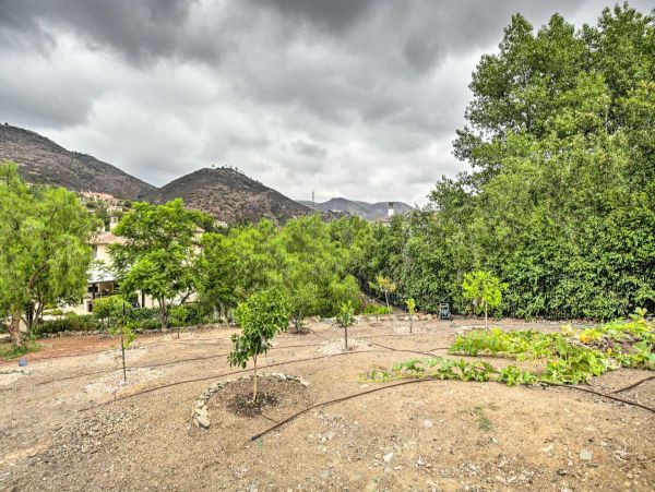 Rancho Santa Fe Home 998024