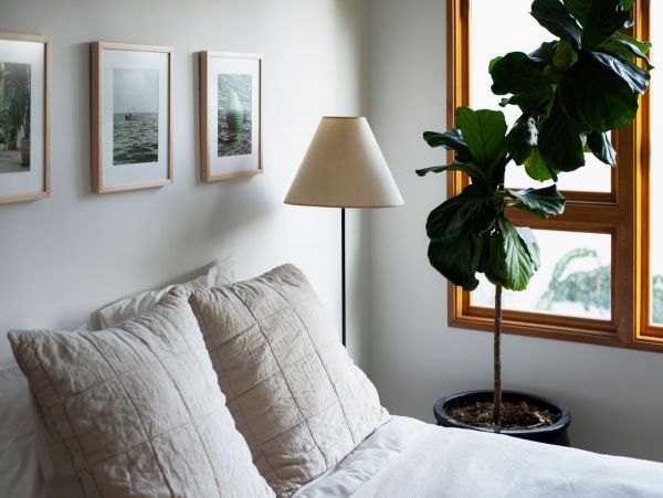 Venice Beach Home 998038