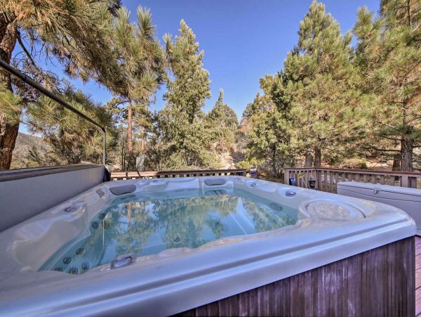 Big Bear Home 998044