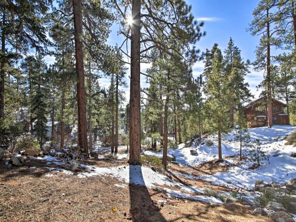 Big Bear Home 998046
