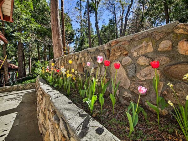 Big Bear Home 998055
