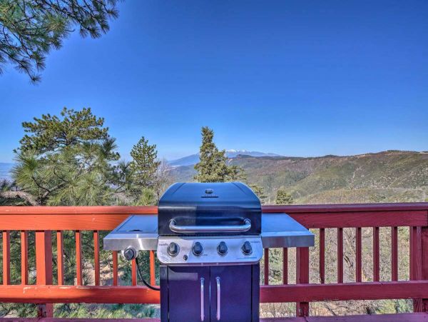 Big Bear Home 998057