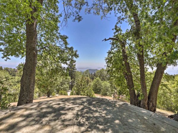 Big Bear Home 998058