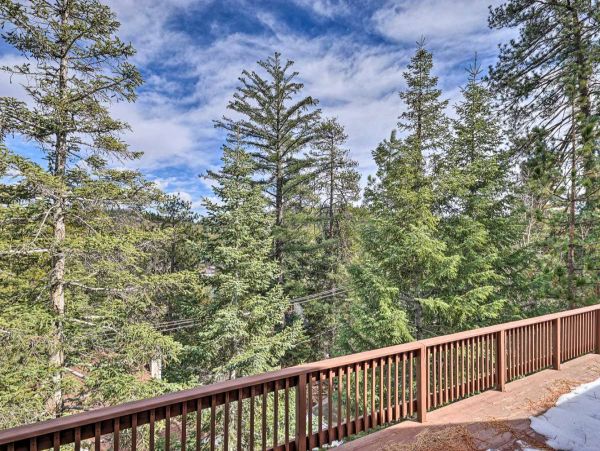 Big Bear Home 998061