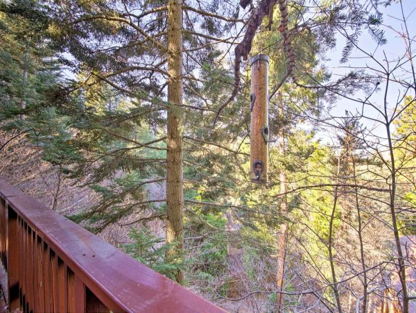 Big Bear Home 998072