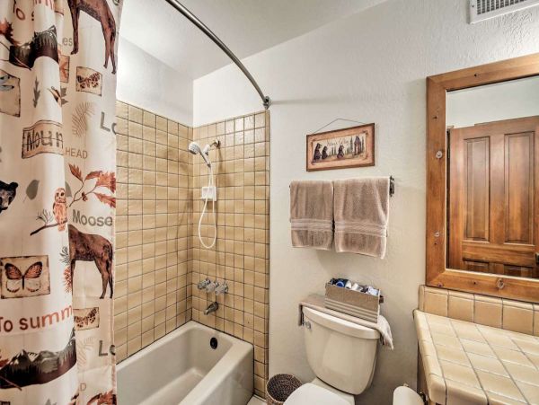 Big Bear Home 998076