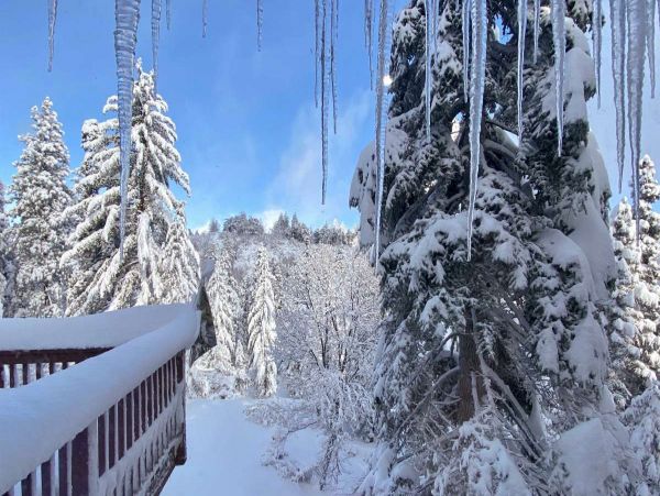 Big Bear Home 998076