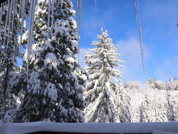 Big Bear Home 998076