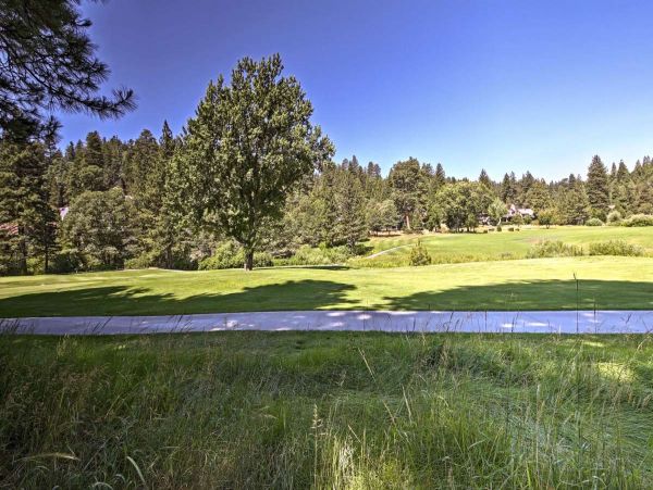 Big Bear Home 998085